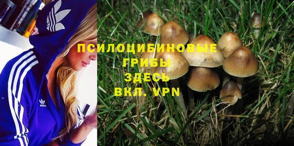 стафф Баксан