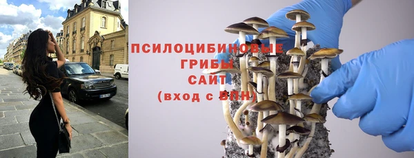 стафф Баксан